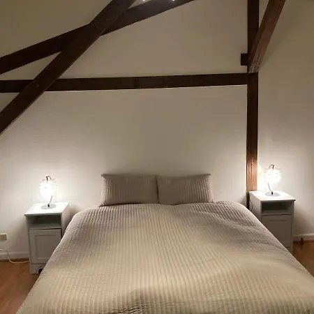 Charmerende Lejlighed I Centrum, Gratis Parkering Apartmán Odense